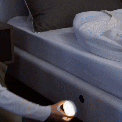 LexoraEssentials® Motion Sensor Lights