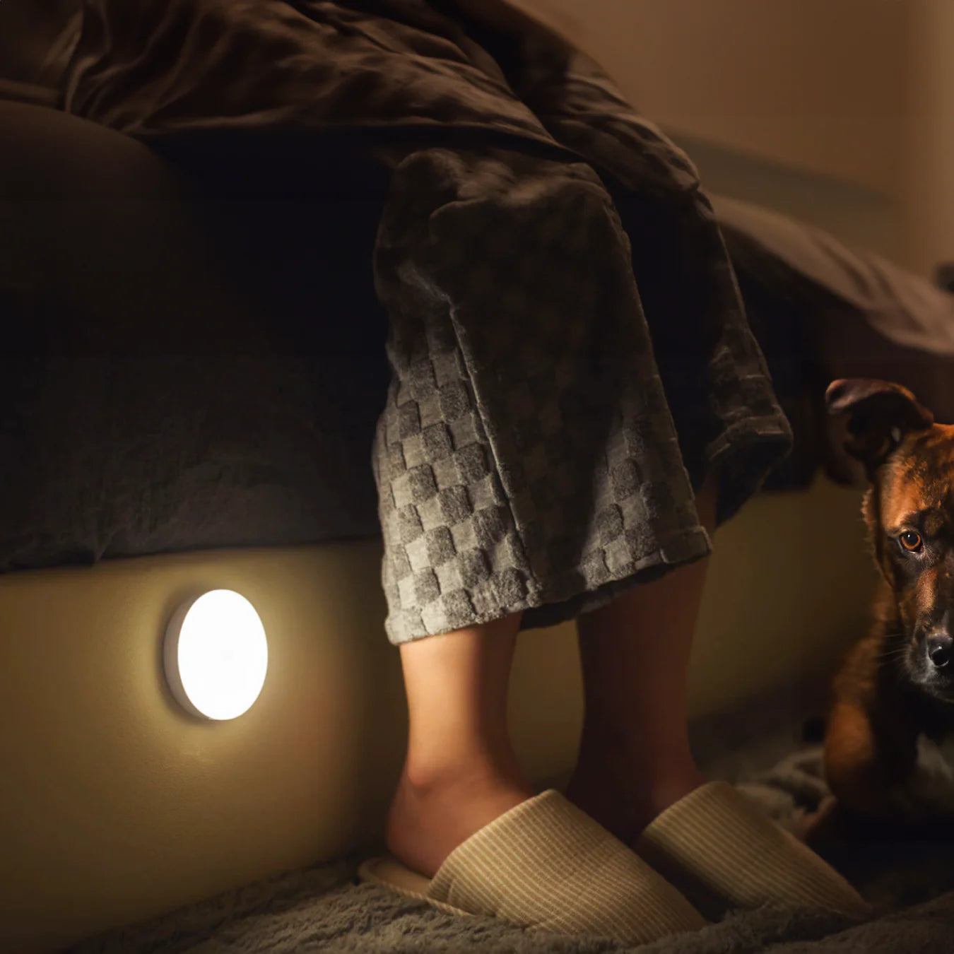 LexoraEssentials® Motion Sensor Lights