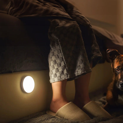 LexoraEssentials® Motion Sensor Lights