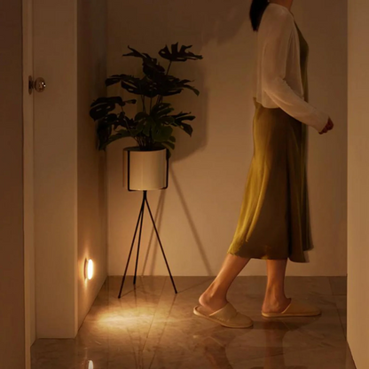 LexoraEssentials® Motion Sensor Lights